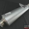 Scarico sinistro remus logo nuovo ducati monster 400