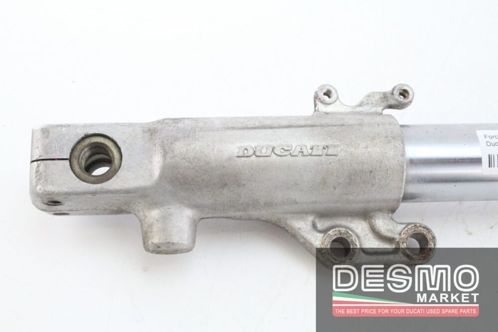 left side Showa 40mm front forks Ducati Monster - Image 3