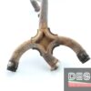 Horizontal exhaust collector Ducati Monster 900 - Image 2