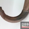 Espansione scarico originale Cagiva Mito 125 anno 2007