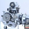 Motore Ducati Monster 600 casse rotte