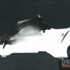Carena Inferiore Bassa Destra Ducati 848 evo corse 1098 1198