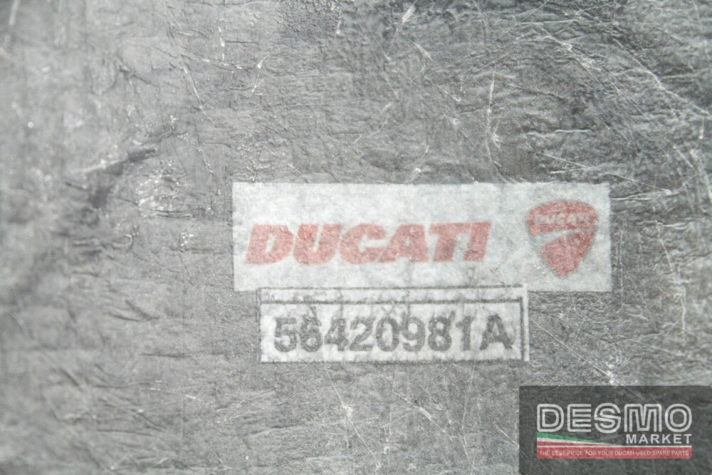 Parafango anteriore carbonio Ducati Panigale 1199