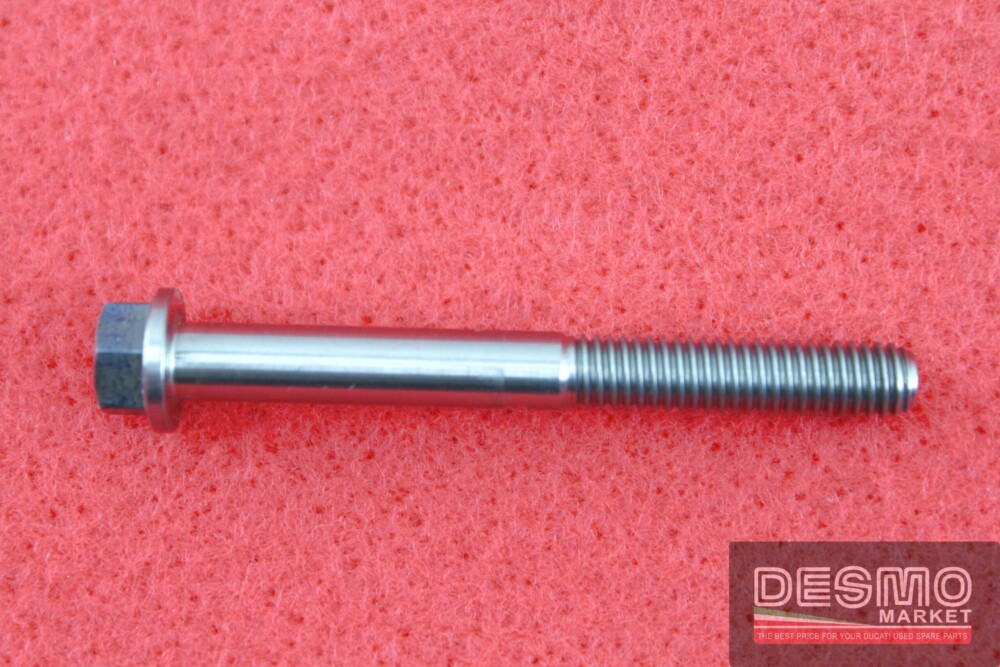 Vite titanio NCR testa esagono flangiata M6x55 Passo 1,0