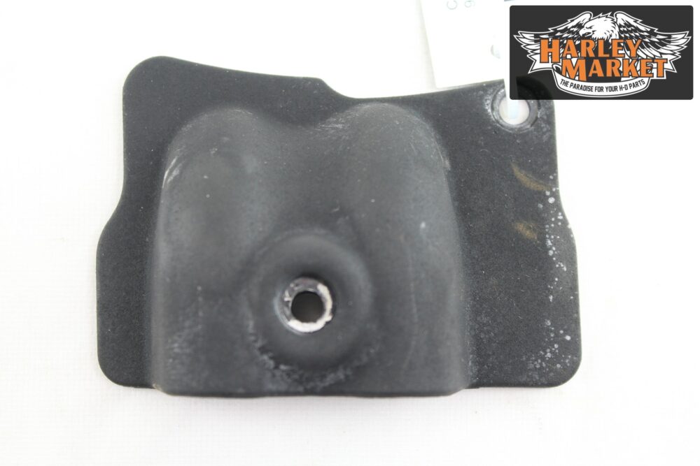 Cover tubi olio Harley Davidson 99-06 Twin Cam TC88
