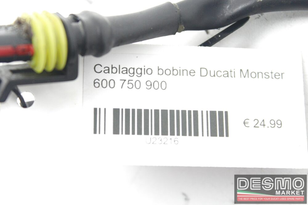 Cablaggio bobine Ducati Monster 600 750 900