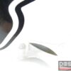 Cupolino anteriore VTR Ducati 748 916 996 998