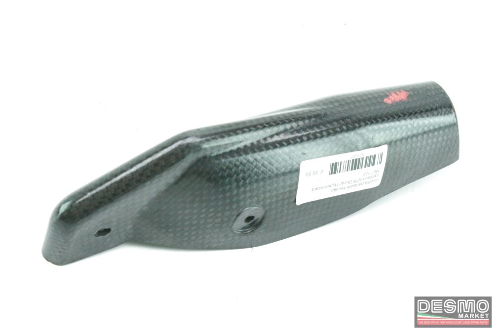 Coppia parasteli forcella carbonio ATR Ducati Hypermotard 796 1100