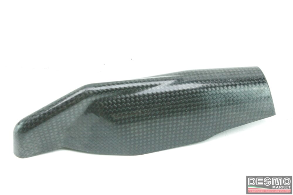 Coppia parasteli forcella carbonio ATR Ducati Hypermotard 796 1100