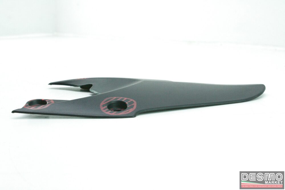 Paraspruzzi Triumph Daytona 675 2009-2012