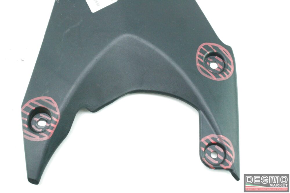 Paraspruzzi Triumph Daytona 675 2009-2012