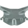 Carbon dashboard fairing closure Aprilia Tuono 1000