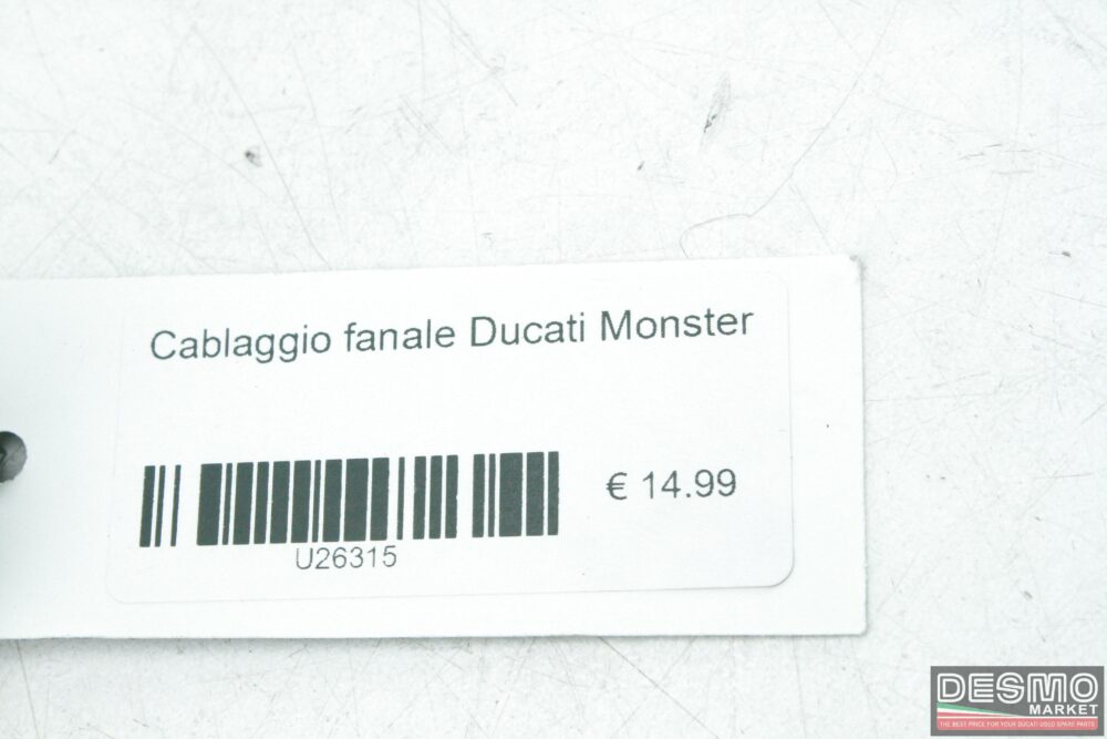 Cablaggio fanale Ducati Monster
