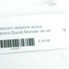 Protezioni radiatore acqua carbonio Ducati Monster s4 s4r