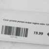 Cover girante pompa acqua cagiva mito 125