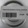 Coperchio fasatura Harley davidson