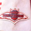 Original Harley Davidson Centennial Leather Jacket 2003 - Image 9