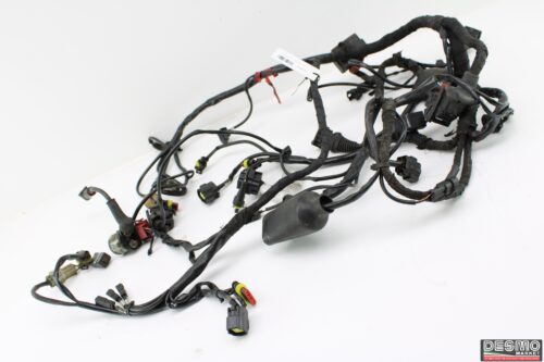Impianto elettrico Ducati Hypermptard 1100 evo  1100 evo SP