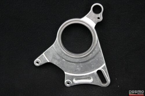 Piastra porta pinza freno posteriore Ducati Hypermotard  796 1100