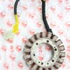  Stator Generator Magneic Field 748 996 998 RS 01-04