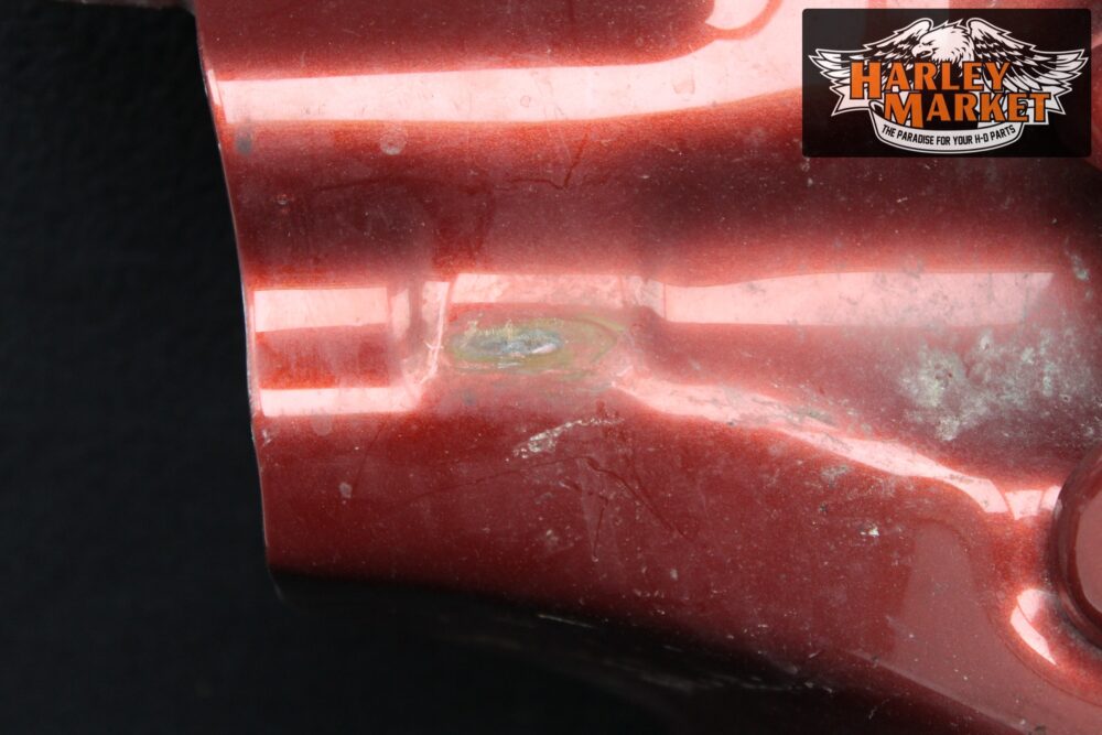 Carenatura gamba sinistra Harley Davidson 91-04 FLH Touring - immagine 4