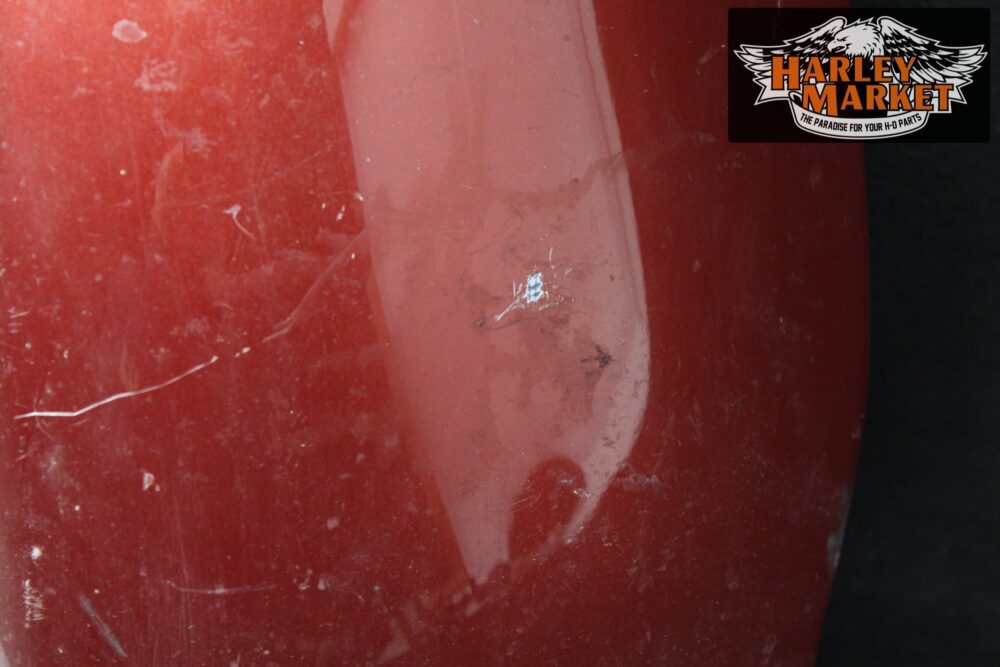 Carenatura gamba sinistra Harley Davidson 91-04 FLH Touring - immagine 5