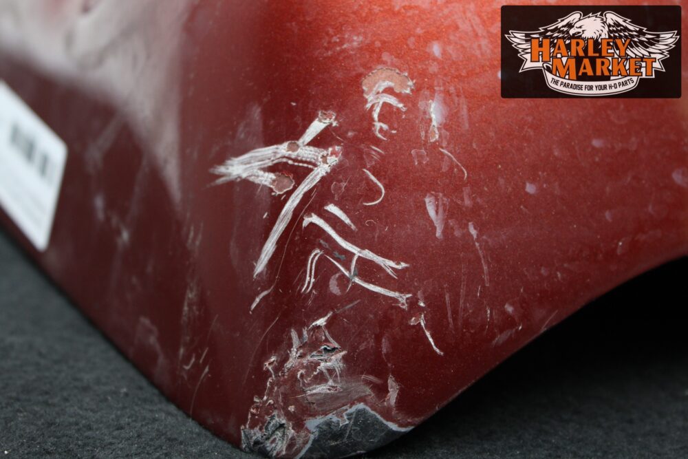 Carenatura gamba sinistra Harley Davidson 91-04 FLH Touring - immagine 7