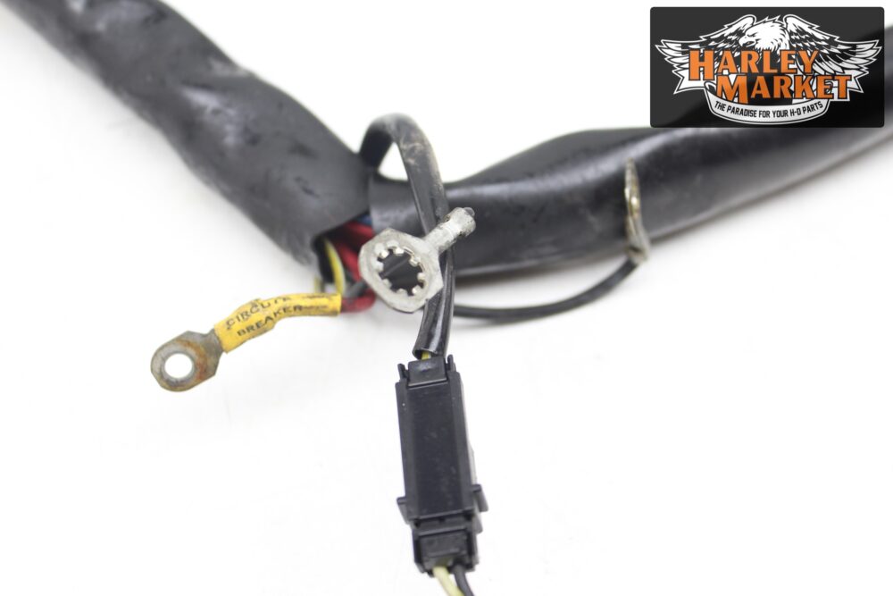 Cablaggio iniezione Harley Davidson FLHX Street Glide 2012 - immagine 5
