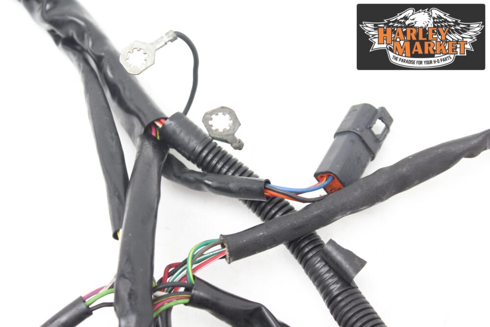 Cablaggio iniezione Harley Davidson FLHX Street Glide 2012 - immagine 9