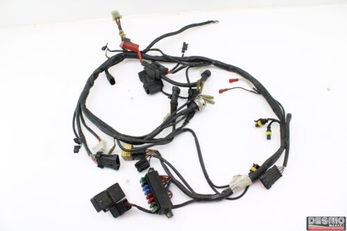 Cablaggio impianto elettrico ducati Monster 600 750 900 MY 98 99 00