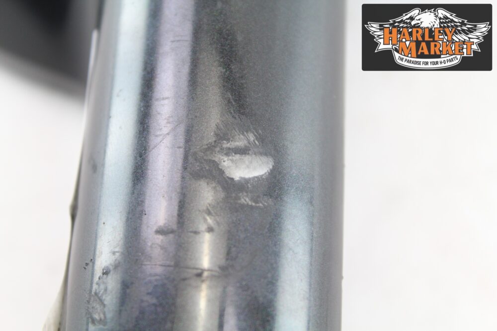 Cover carenatura gambe sinistra 2007-2012 Harley Davidson Electra Glide - immagine 3