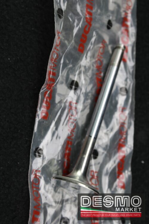 valvola scarico ducati 748 2001 2002 testa bassa