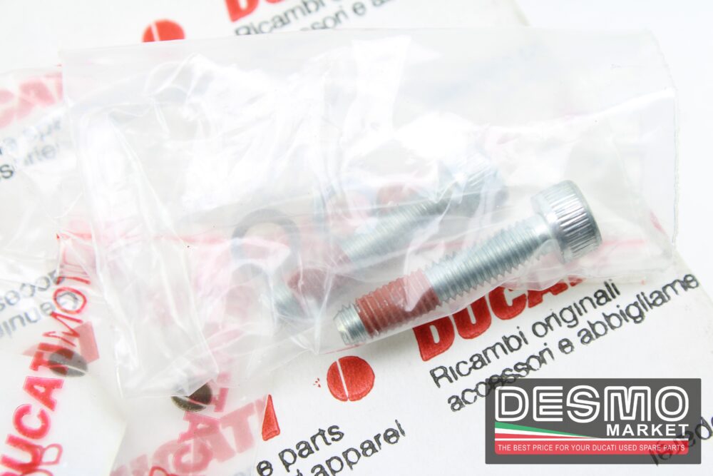 Cover inferiore carbonio carter frizione a bagno d'olio Hypermotard 796 - immagine 2