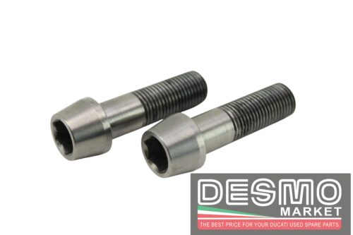 Viti titanio serraggio eccentrico forcellone Ducati 848 1098 1198