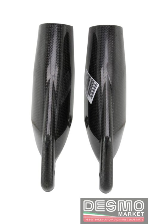 Parasteli carbonio Ducati Hypermotard 796 1100
