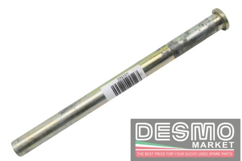 Perno telaio forcellone Ducati 748 916 996 998