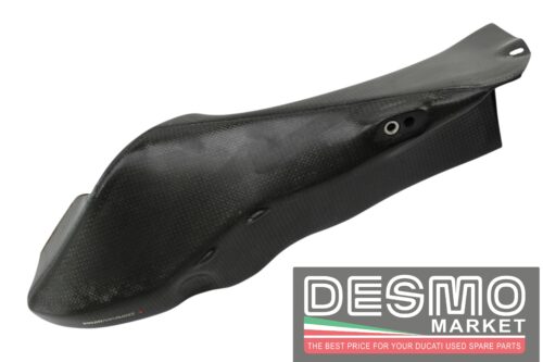 Condotti convogliatori aria carbonio Ducato 748 916 996 998