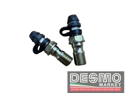Vite spurgo pinza freno MV Agusta Brutale 2005-2008 F4 2006-2008