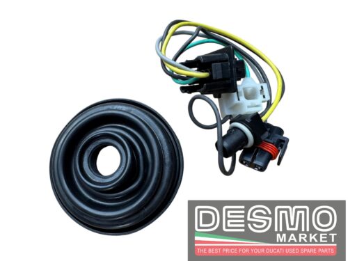 Cablaggio fanale anteriore MV Agusta Brutale 750 900 910 2003-2008