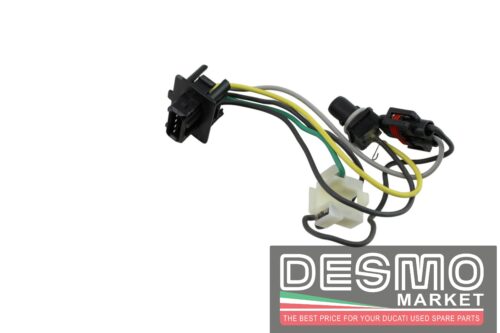 Cablaggio fanale anteriore MV Agusta Brutale 750 900 910 2003-2008