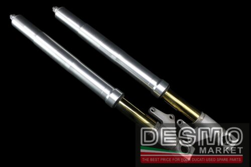 Forche forcelle Showa Ducati Monster S4 S4R