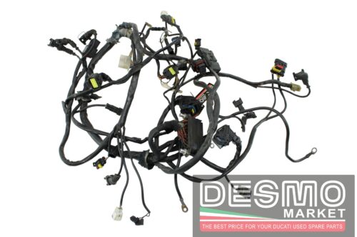 Cablaggio Ducati Monster S4R 2003-2006