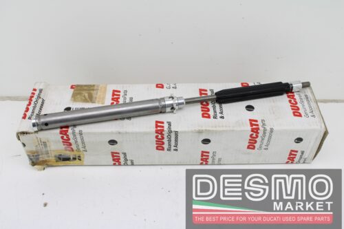 Pompante completo Ducati Monster 620 750 I.E.