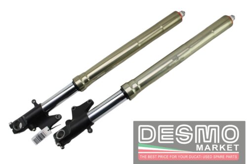 Forcelle Showa regolabili Aprilia