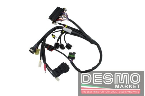 Cablaggio Impianto elettrico Destro Ducati 748 996 996 SPSMY 1999